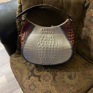 Brahmin Amira large size